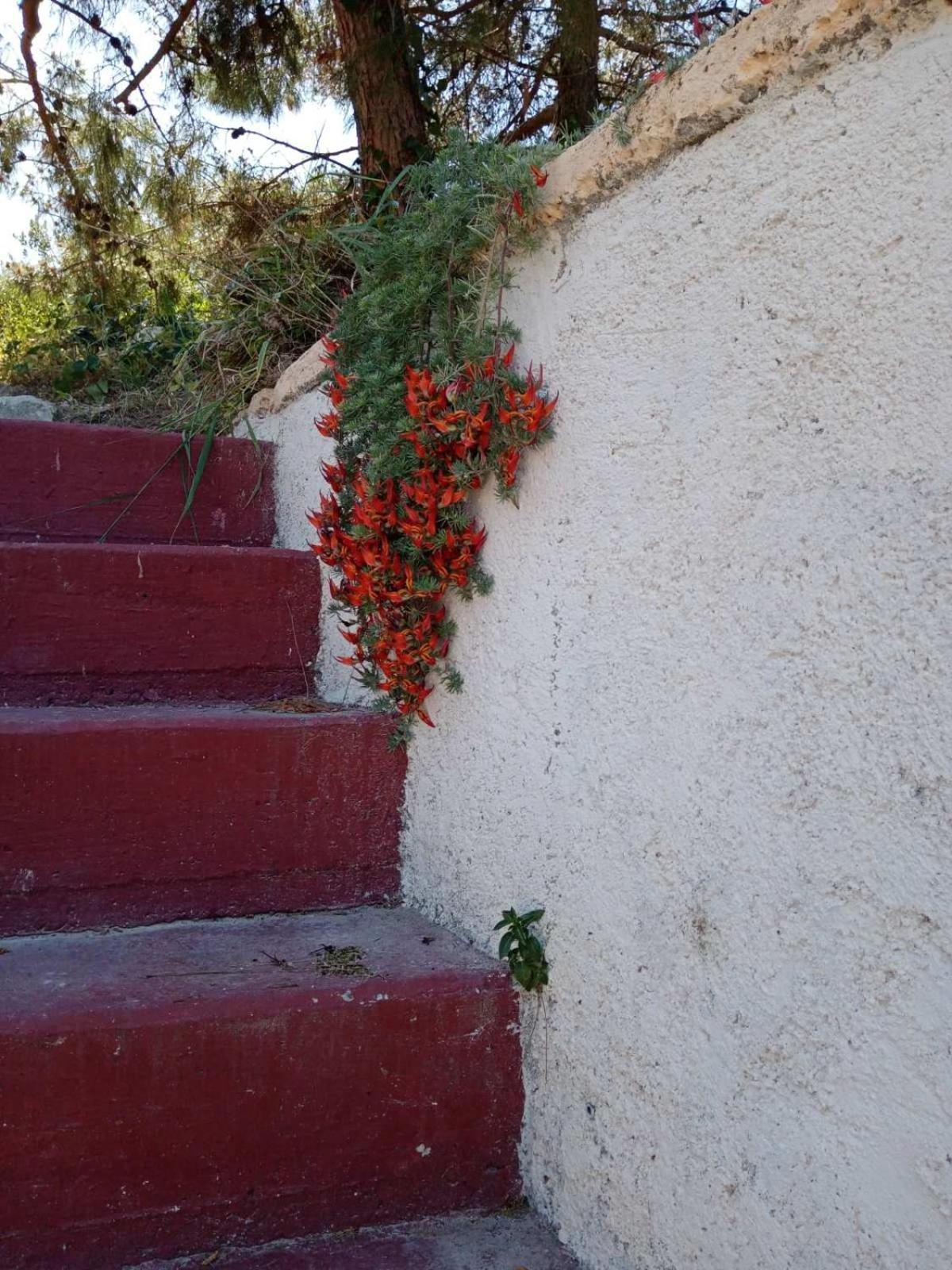 Villa Phyllia, Knossos, Crete Luaran gambar